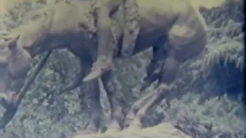 THE END OF THE TRAIL