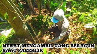 Nekat Mengambil uang beracun dalam tanah saat paceklik❗ kehidupan suku Jawa pelosok Jawa Tengah 