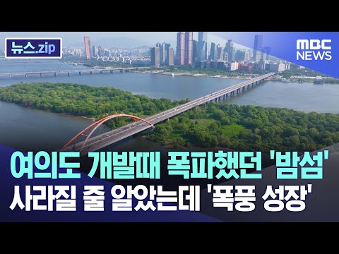 여의도 개발때 폭파했던 &amp;#39;밤섬&amp;#39; 사라질 줄 알았는데 &amp;#39;폭풍 성장&amp;#39; [뉴스.zip/MBC뉴스]