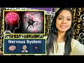 The nervous system  samta dabhi
