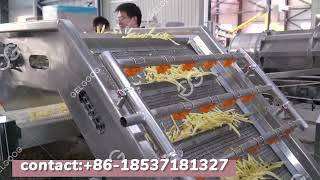 Full Automatic Frozen French Fries Production Line #french #fries