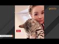 Cat learns to talk for lonely mom