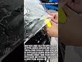 무광 PPF 시공으로 달라진 BMW M3의 포스 #worker #process #detailing #carwrap #automotive