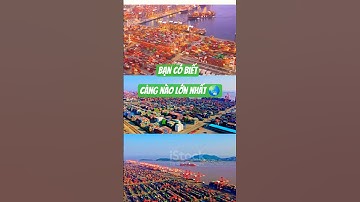 Bạn có biết cảng biển nào lớn nhất TG không??? #cảng biển#shorts