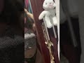رقص دلع حصري Dance اكسبلور شرموطه رقص دلع حصري Dance اكسبلور شرموطه