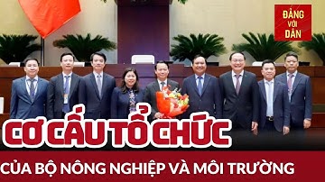 Cơ cấu tổ chức của Bộ Nông nghiệp và Môi trường