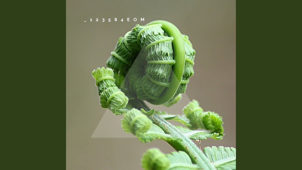 Kapitel 11 Das Scheinfasten Workbook Das 3 Phasen Modell Fr Mehr Energie Zellgesundheit - YouTube Auto PHP Script