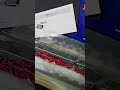 Roco Soundeinbau #modellbahn #tt #spurtt #train #roco #modeltrains #shorts