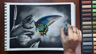 Step by Step Draw Realistic Butterfly for beginners - Soft Pastel Drawing - Black and white painting screenshot 1