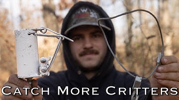 Dog Proof Raccoon Trap Modifications