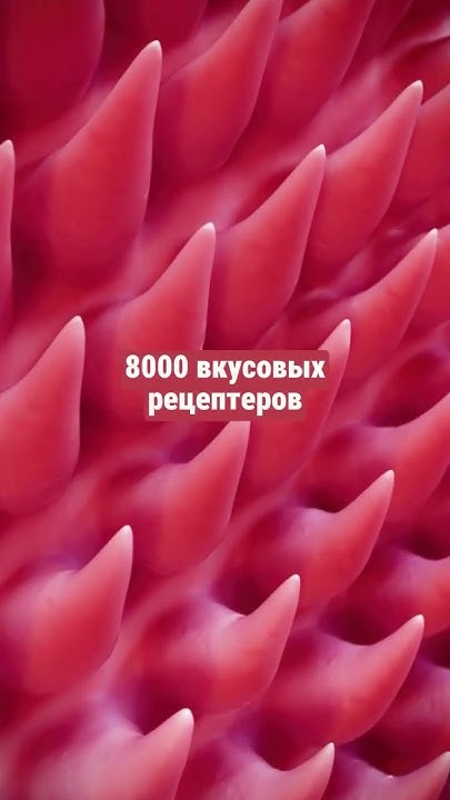 самая совершенная машина в мире - YouTube