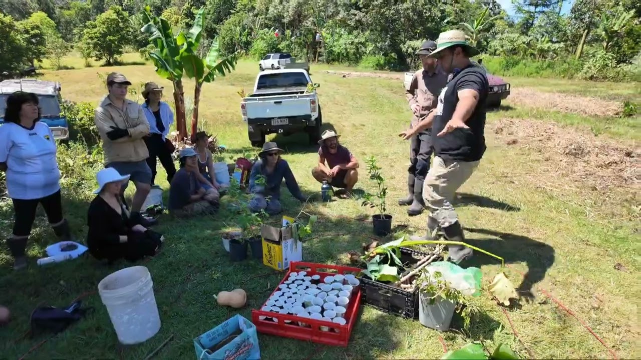 Setting up a Syntropic System from Scratch (Step-by-Step Action Guide)