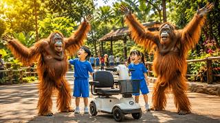 A Day at the Zoo Experience the Charm of Lovely Animals Up Close