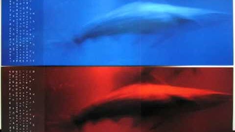 James Plotkin/Tim Wyskida - Untitled