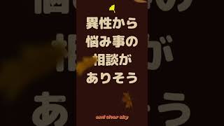 202211025 六白金星　復縁占い　茶色と白色