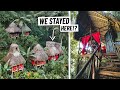 We Stayed in a Treehouse IN THE JUNGLE! Is This Dominican Republic's BEST All Inclusive Hotel??