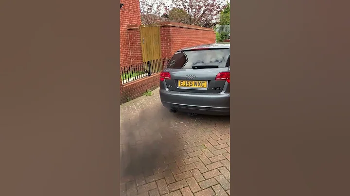 Pops & Bangs, hard cut, 2.0TDI - test