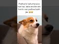 Padhai #memes #popular #viral #funnymemes #tweetreels #padhai #tension