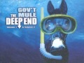 Govt mule  beautifully broken  the deep end vol 1