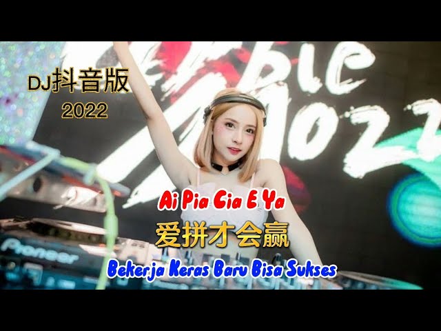 2022 DJ抖音版 - 爱拼才会赢 - Ai pia cia e ya - Remix Tiktok Douyin -  Bekerja Keras Baru Bisa Sukses  #DJ抖音版 class=