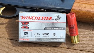 Pretty Decent! Winchester Super X 12ga 2-3/4' 16 Pellet 1 Buck Test W/ 11-87 & Stock Full Choke