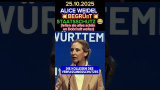 💥WEIDEL begrüßt STAATSSCHUTZ⚡#Afd #bawü #aliceweidel #weidel #shorts #cdu #spd #merz