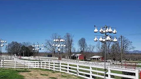 PURPLE MARTIN ARRIVALS HOLLY SPRINGS S C 2023
