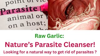 Raw Garlic: Nature’s Parasite Cleanser! How raw garlic helps eliminate parasites.