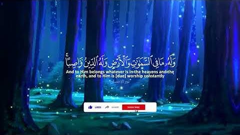 تلاوة هادئة🎧💙 من سورة النحل | للقارئ عبدالرحمن مسعد💜