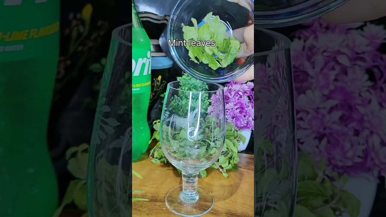 Refreshing 🍉 Watermelon Mojito 🍹