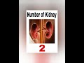 Human body facts #science
