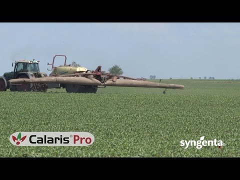 Video: Što Su Kontinuirani Herbicidi