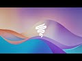 VortexIQ Insights Shopify Connector Setup