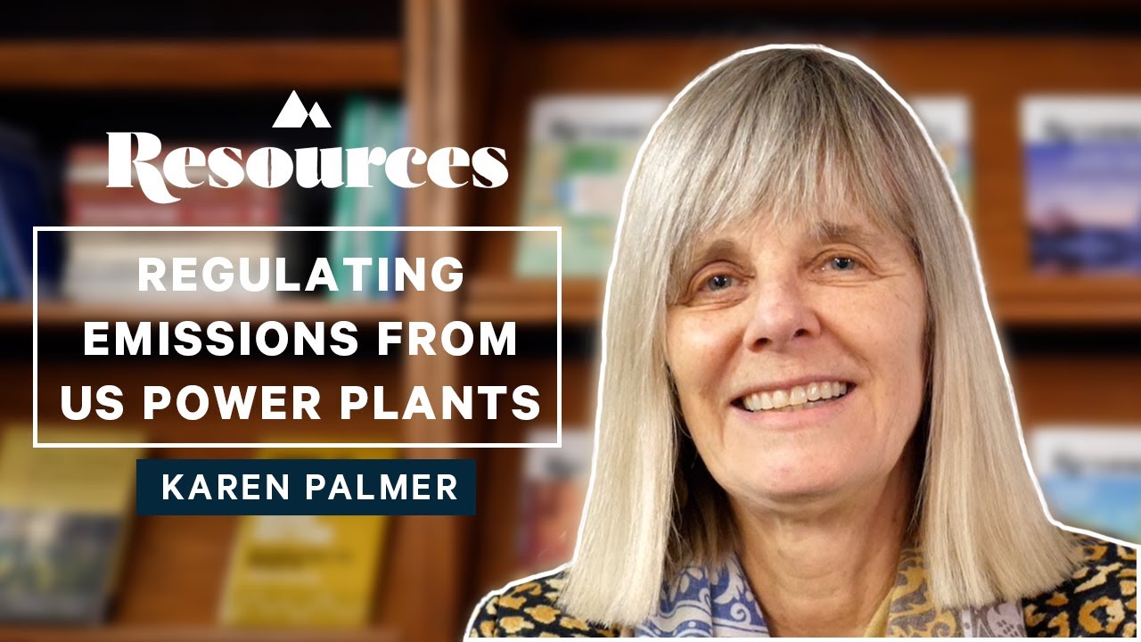 In Focus—Karen Palmer on US Environmental Protection Agency Rule on