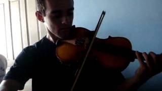 Violino Na Casa Da Rosange