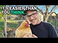 BACKYARD CHICKENS FOR BEGINNERS Caring For Egg Laying Hens The EASY Way 
