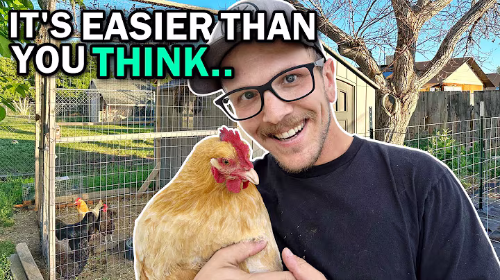 BACKYARD CHICKENS FOR BEGINNERS! | Caring For Egg Laying Hens The EASY Way!