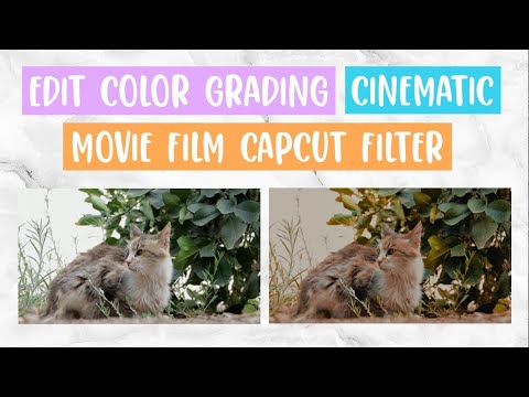 Capcut color grading filter || movie filter #2