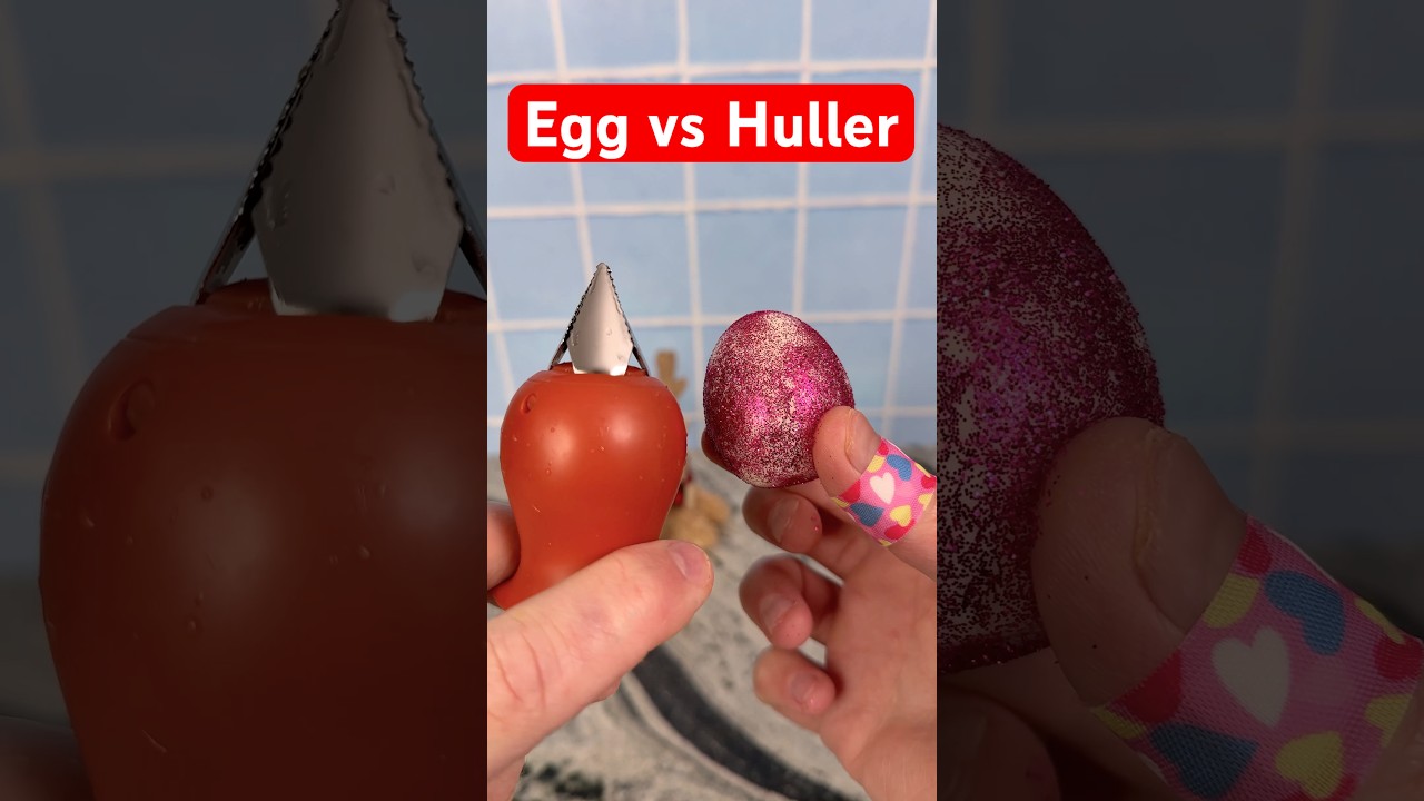 Bird egg vs Huller 