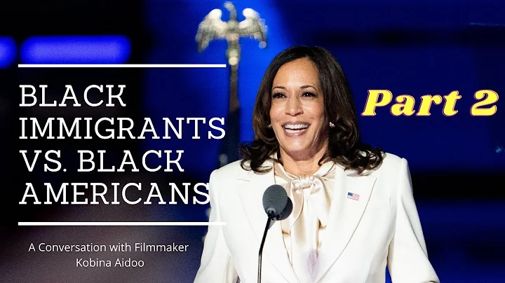 Black Immigrants vs Black Americans Part 2