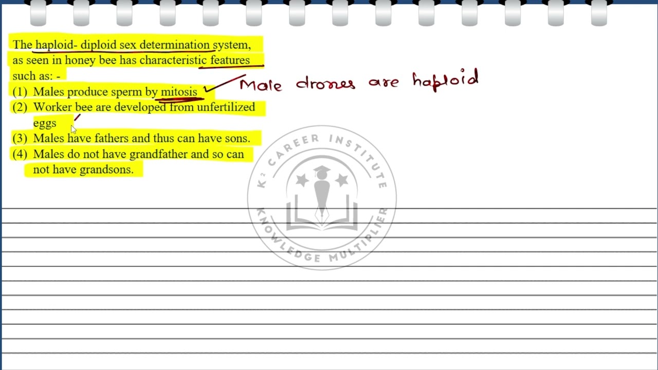 The haploid- diploid sex determination system,as seen in honey bee has characteristic features