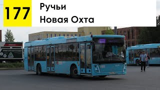 картинка: Автобус 177 