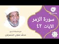 سورة الزمر الآية 42 تفسير الشيخ الشعراوي قليل دائم خير 