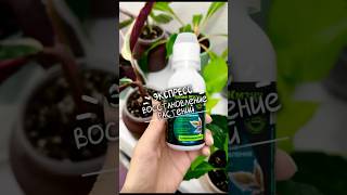 Восстановление растений от стресса,укрепление иммунитета #капляжизни #vitagota #удобрениедлярастений