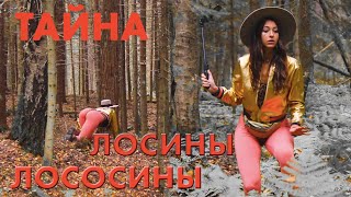 ОДНА В ЛЕСУ. ЗАЧЕМ? ИЩЕМ. ЛОСИНЫ ЦВЕТА ЛОСОСИНЫ - ХОЧУ НА МОРЕ(КЛИП)