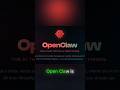 OpenClaw: Local AI That Works on Your Machine