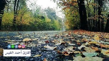 تلاوة خاشعة _ فقلت استغفروا ربكم إنه كان غفاراً _ القارئ أحمد النفيس