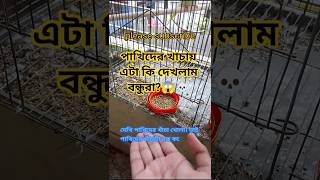 পাখিদের খাচায় এটা কি দেখলাম বন্ধুরা?@Funlybird #unfrezzmyaccount #growmyaccount #birds