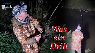 Richtig dicker Fisch und Karpfen auf Styropor.