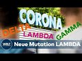 CORONA-IMPFTEMPO stockt - DELTA auf dem VORMARSCH - Neue COVID-19-Variante LAMBDA breitet sich aus